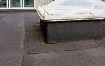 disadvantages of Bliss Gate flat roofs